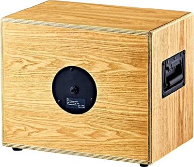 Ortega S-two 150W akoestische gitaarspeakerkast