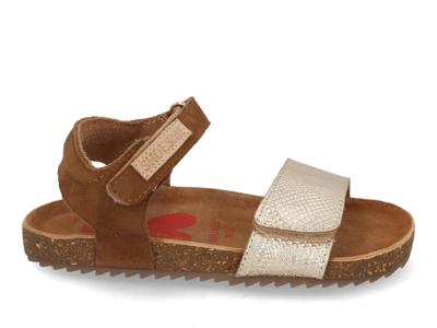 ShoesMe IC21S007-C light gold multi bruin maat 25