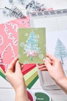Sizzix • clear stamp set a5 with framelits die pine holidays 21pcs - thumbnail