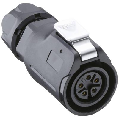 Lutronic 2440 04 T09CB T Ronde connector Bus, recht 1 stuk(s)