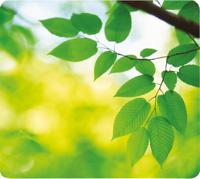 Fellowes gerecycleerde muismat, bladeren - thumbnail