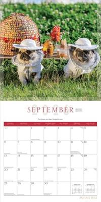 Fantasy Pugs Kalender 2026