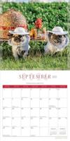 Fantasy Pugs Kalender 2026 - thumbnail