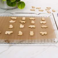 Nostik Herbruikbare Bakfolie - thumbnail