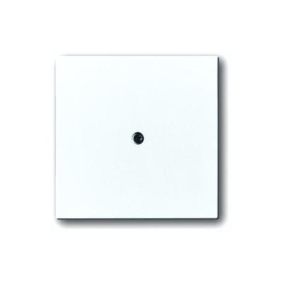 Busch-Jaeger 2CKA001710A3173 Afdekking Wit, Verkeerswit 1 stuk(s)