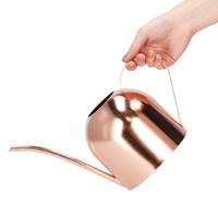 Viking Choice  Gieter voor binnen 1,5L - Rose goud - Plant verzorging - thumbnail