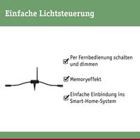 Paulmann 18010 Verlichtingssysteem Plug&Shine Controller Zwart - thumbnail