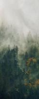 Noordwand Komar Pure Fotobehang Tales of the Carpathians - PSH036-VD1 - thumbnail