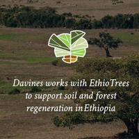 Davines Cleansing Nectar Hair & Body 280ml - thumbnail