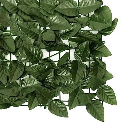 VidaXL Balkonscherm met donkergroene bladeren 300x75 cm