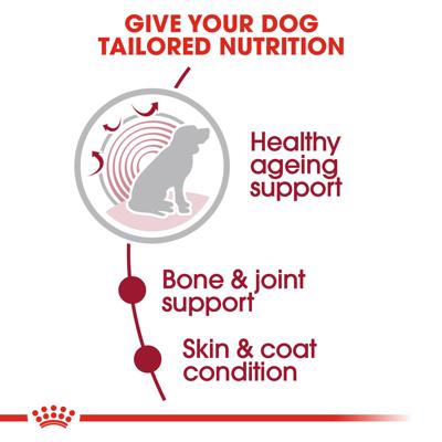 Royal Canin Medium Ageing natvoer hond (in saus) 1 doos (10 x 140 g)