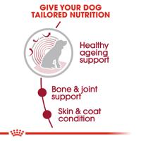 Royal Canin Medium Ageing natvoer hond (in saus) 2 dozen (20 x 140 g) - thumbnail
