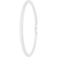 LEDVANCE LED-buis-Buis Energielabel: D (A - G) T5 21.5 W Neutraalwit 1 stuk(s) (Ø x l) 16.50 mm x 300.00 mm - thumbnail