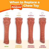 Nylabone extreme chew antler bone hertsmaak - thumbnail