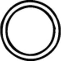 Pakking, uitlaatpijp 80789 - thumbnail