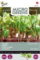 Microgreens, Snijbiet Regenboogmengsel - thumbnail