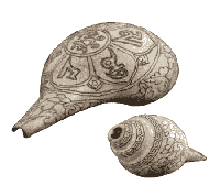 Rituele Witte Trompetschelp OMPMH - thumbnail