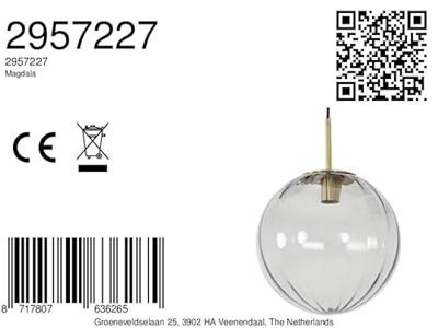 Light & Living Hanglamp 'Magdala' Ø30cm, kleur Lichtgrijs Light & Living Hanglamp 'Magdala' Ø30cm, kleur Lichtgrijs