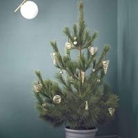 Stelton Tangle Ornament Hart messing 14 cm - thumbnail