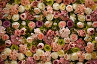 Alexsar Art Tuinschilderij witte en roze rozen 130x70cm - thumbnail