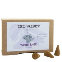 Jiri & Friends Cones witte salie 1 Stuks - thumbnail