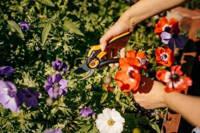 FISKARS "plus smartfit" tuinschaar pruning shears p541 - thumbnail