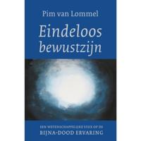 Eindeloos bewustzijn (Paperback) - thumbnail