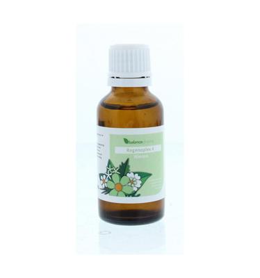 Balancepharma RGP004 Nieren Regenoplex 30 Milliliter Balancepharma RGP004 Nieren Regenoplex 30 Milliliter