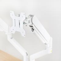 Monitor TooQ DB1434TNR-W 34" 13" - thumbnail