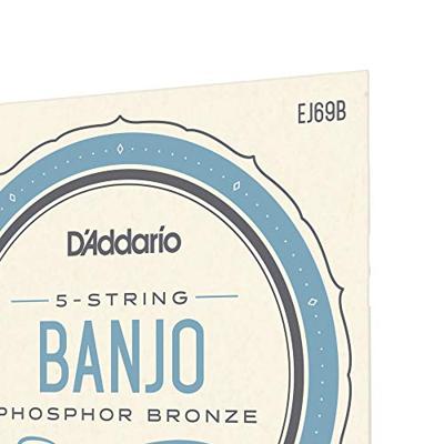 D&apos;Addario EJ69B Phosphor Bronze Light 9-20 snaren voor vijfsnarige banjo