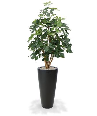 Schefflera Exotica kunstplant 120cm