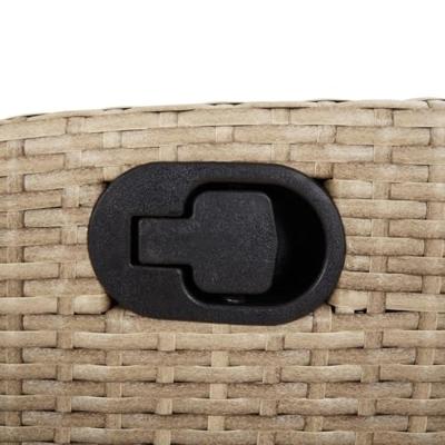 5-delige Tuinset met kussens poly rattan beige