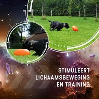 Dog Comets Pan-Stars Oranje L - thumbnail