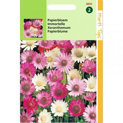 Zaden Xeranthemum Papierbloem gemengd Hortitops - Hortitops
