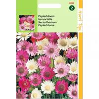 Zaden Xeranthemum Papierbloem gemengd Hortitops - Hortitops - thumbnail