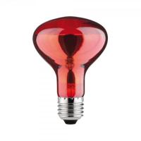 Paulmann Infraroodlamp E27 60 W (Ø x l) 80 mm x 115 mm 230 V 1 stuk(s) - thumbnail