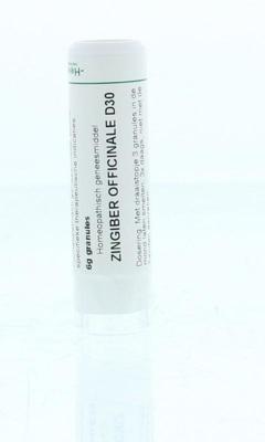 Homeoden Heel Zingiber officinalis D30 6 Gram