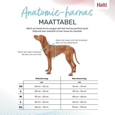 Hondentuigje Company of Animals Grijs L 42-65 cm