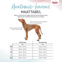 Hondentuigje Company of Animals Grijs L 42-65 cm - thumbnail