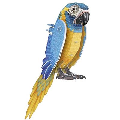 3D Puzzel - Papegaai - Constructiespel - EXPLORA - Vogel - 94 stukjes - Vanaf 8 jaar