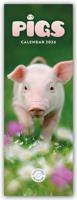 Varkens Kalender Slimline 2026 - thumbnail