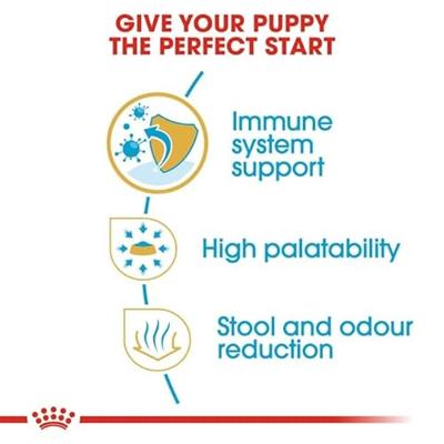 Royal Canin Chihuahua voer voor puppy 1.5kg - thumbnail