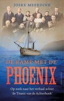 De ramp met de Phoenix - Joske Meerdink - ebook - thumbnail