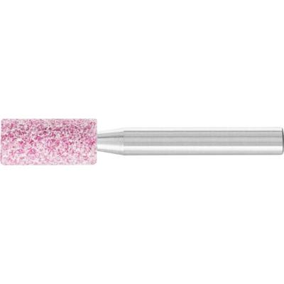 PFERD TOOLS 31118254 Slijpstift Diameter 10 mm 10 stuk(s)
