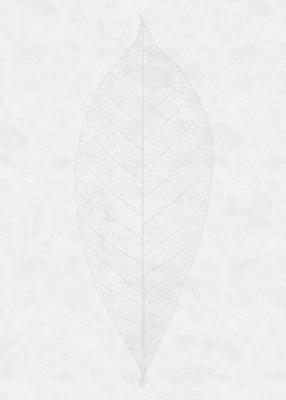 Noordwand Komar Raw Fotobehang Decent Leaf - R2-012