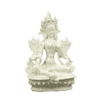 Groene Tara Wit (15 cm) - thumbnail