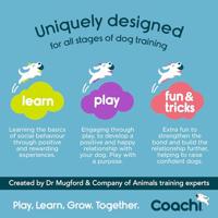 The Company Of Animals Company of animals coachi target stick aanwijsstick blauw - thumbnail