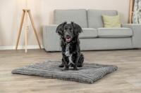 Trixie ligmat lonni ribfluweel grijs - thumbnail