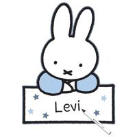 Geboortebord Nijntje Baby Blauw - 60 cm - thumbnail