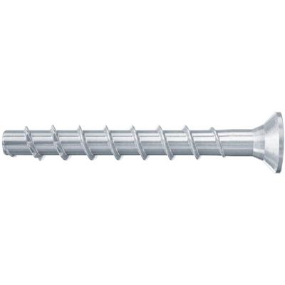 Fischer Betonschroef FBS II 6x120/65 verzonken kop - 546387 - 100 stuk(s) - 546387 Fischer Betonschroef FBS II 6x120/65 verzonken kop - 546387 - 100 stuk(s) - 546387